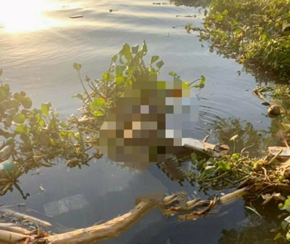 Phát hiện thi thể trôi trên sông lúc đánh cá