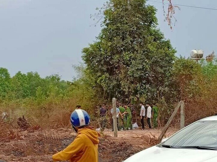 Bình Dương phát hiện bộ xương người trong bãi cỏ hoang 