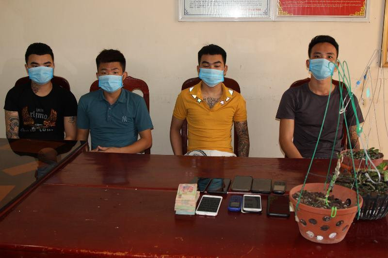 4 đối tượng lừa đảo bán lan đột biến bị Công an Hà Nam bắt giữ - Ảnh: Hoàng Long