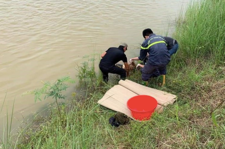 Đã tìm thấy thi thể của 2 trong 3 người mất tích khi tắm ở của sông Ninh Cơ, Nam Định - Ảnh MH