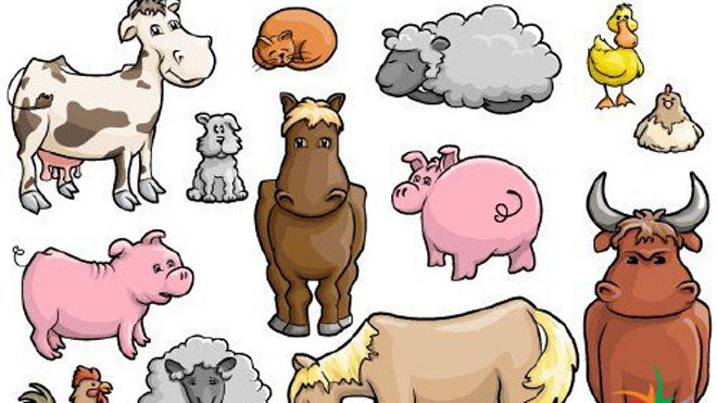 Phòng ngừa chó, mèo gây bệnh cho người