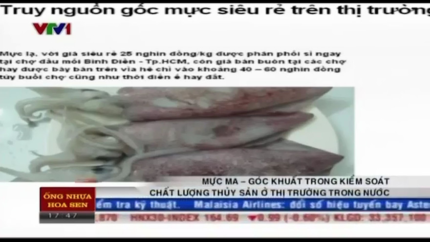 Nguồn gốc mực lạ giá “siêu rẻ” trên thị trường