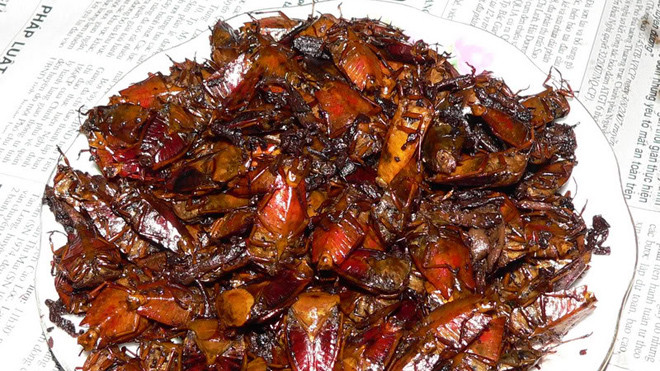 Cần lựa chọn và chế biến đúng cách khi sử dụng côn trùng làm thức ăn