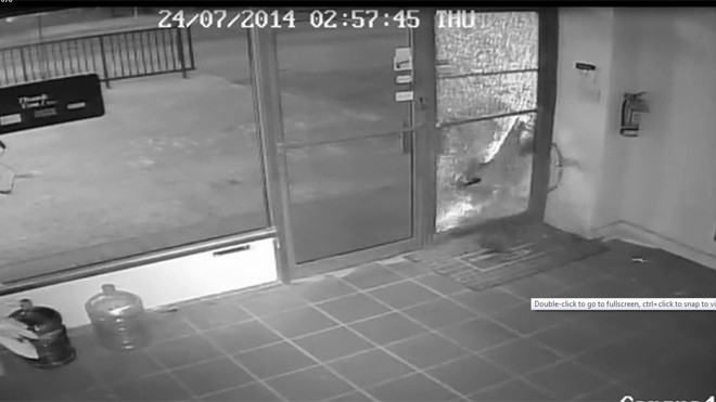 Tên trộm siêu đãng trí