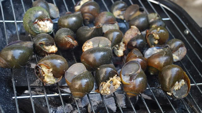 Ốc nướng, hàu nướng, ... chỉ chín được phần vỏ bên ngoài, phần ruột bên trong chưa chín có thể là nơi trú ngụ của các loại sán nguy hiểm. Nếu ăn phải ốc có sán, sán sẽ tấn công não, phổi, mật, gây bệnh nguy hiểm 