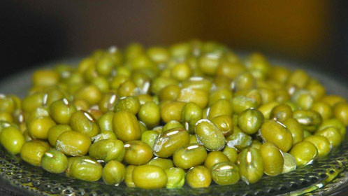 Giải độc cơ thể nhờ vỏ đậu xanh