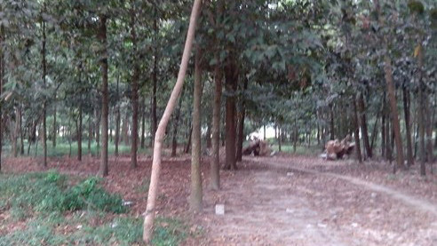 Sau khi tán tỉnh qua mạng, Thừa rủ nạn nhân đi chơi rồi chở thẳng đến khu vực vắng vẻ để cưỡng hiếp và cướp tài sản (ảnh minh họa) 