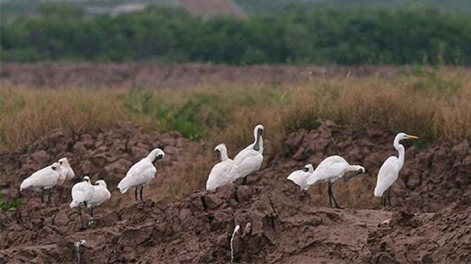 Bạn có bất ngờ khi biết sự thật chứ? (ảnh minh họa)