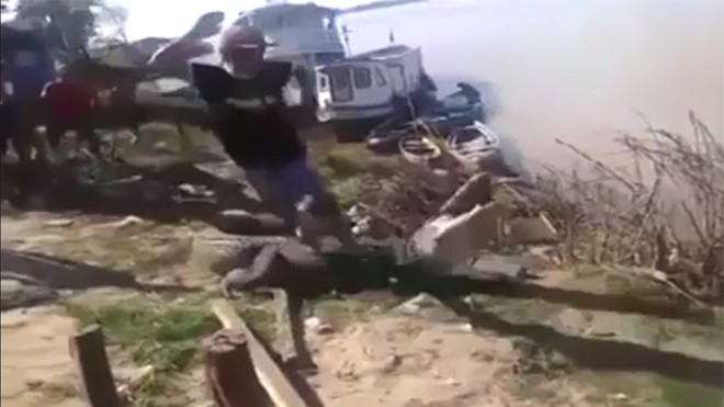 Liều mạng giẫm lên lưng cá sấu trêu đùa