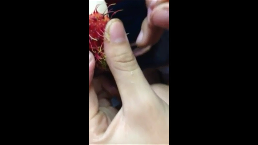 Sinh vật lạ xuất hiện trong quả chôm chôm tươi rói