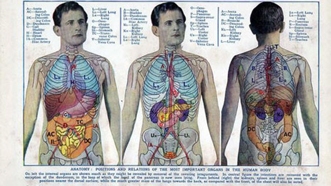 Mỡ thừa gây hại cho cơ thể như thế nào?
