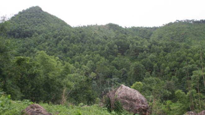 Núi rừng Đá Cóc vẫn còn ám ảnh câu chuyện rùng rợn.