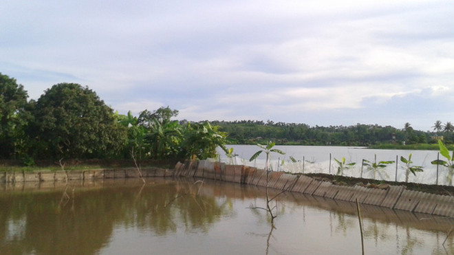 Khu vực xảy ra vụ việc