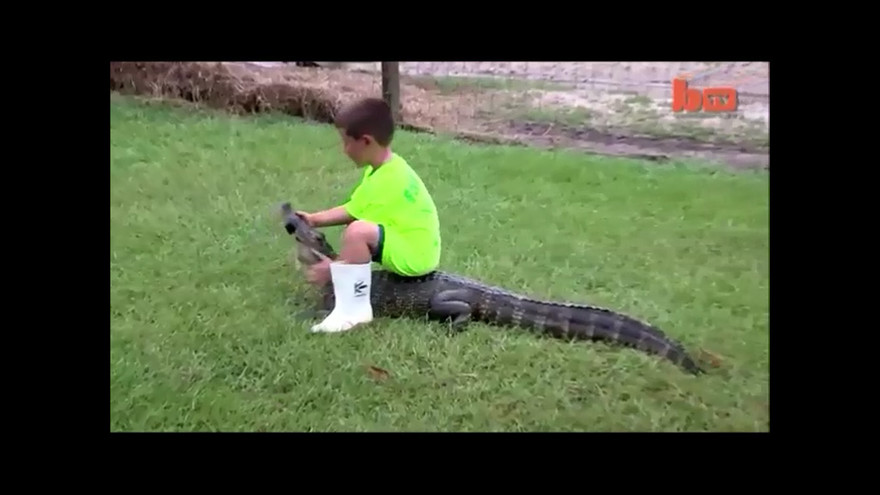 Hú vía hai bố con liều mạng 'giỡn mặt' cá sấu