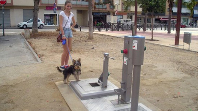 Những con chó có nơi để giải quyết nhu cầu mỗi khi được chủ dẫn ra ngoài đi dạo. Ảnh: O.C