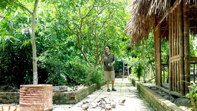 Diễn viên hài Giang Còi cho chim bồ câu ăn tại nông trang của mình. Được biết, hiện anh nuôi khoảng 50 chú chim bồ câu