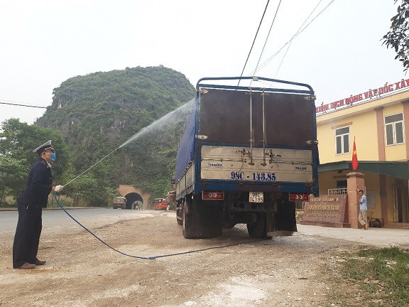 Một ngày ở Trạm kiểm dịch tả lợn Bắc - Nam