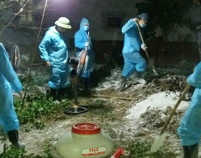 Dịch tả lợn châu Phi lan sang huyện thứ 2 ở Thanh Hóa