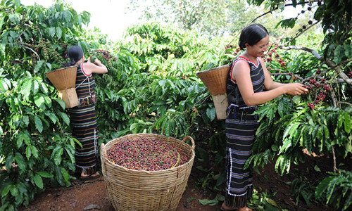 Nestlé khẳng định cam kết thúc đẩy trao quyền cho phụ nữ