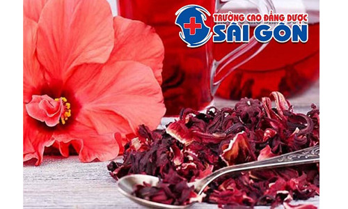 Học Trung cấp Y học cổ truyền Sài Gòn ra trường làm công việc gì?