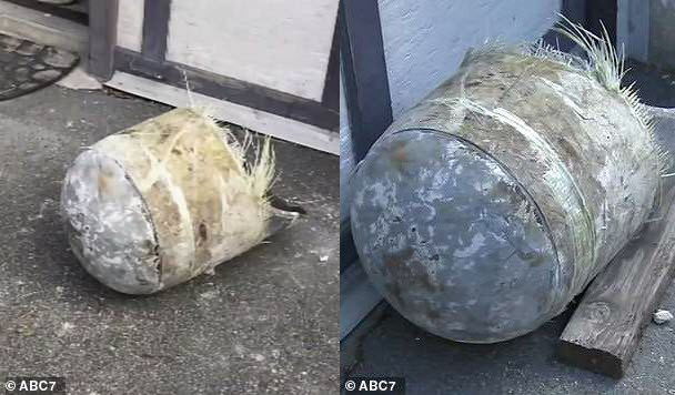 Vật thể lạ được làm từ sợi thủy tinh.