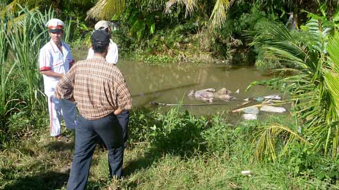 Hiện trường phát hiện thi thể ông Mừng
