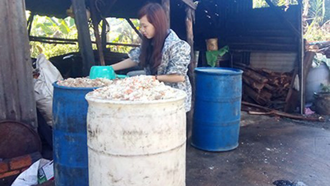 Cơm thừa đang là lĩnh vực béo bở đối với các “cò”. Giá một thùng cơm 220 lít lấy trực tiếp từ công ty chỉ 90.000-120.000 đồng nhưng qua “cò” thì giá lên đến 180.000-220.000 đồng.