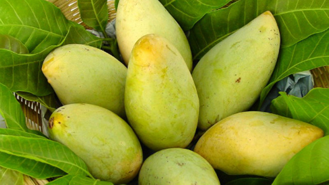 Ảnh minh hoạ: Internet