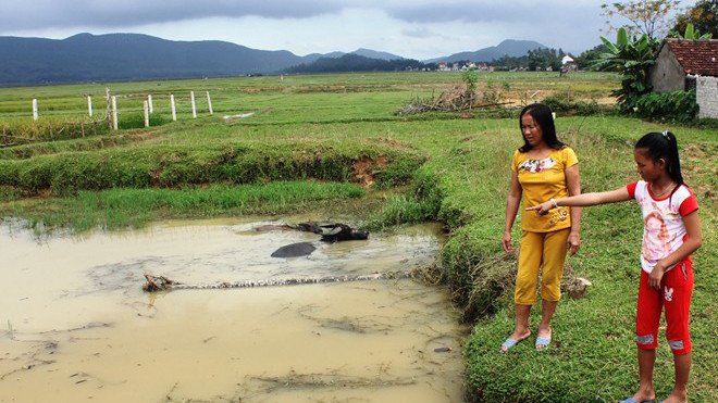 Vân Anh bên ao nước mà em cứu được hai em nhỏ. Ảnh: Phạm Hòa.