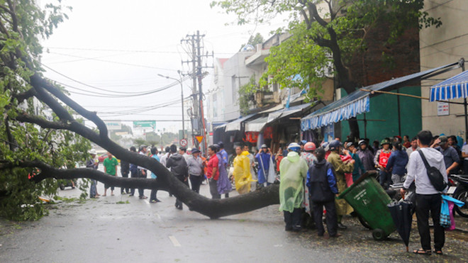 Hiện trường cây đỗ gãy đè người bị thương