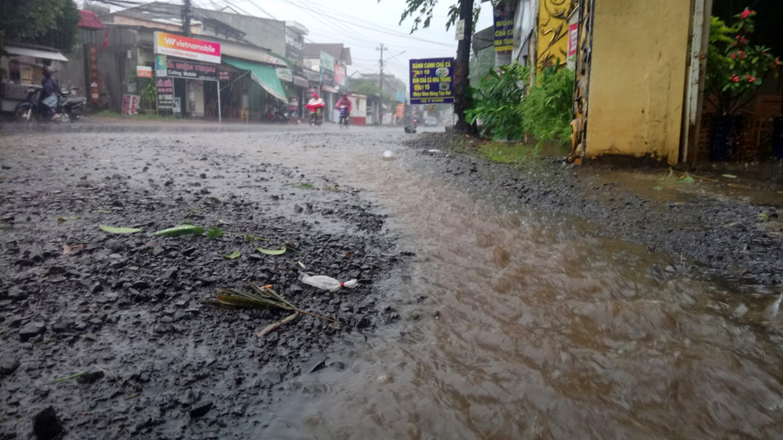Mưa to, gió lớn trên địa bàn TP Buôn Ma Thuột, Krông Pắk 