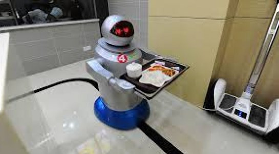 Trong tương lai gần, trí tuệ nhân tạo sẽ đối phó tốt hơn với các trường hợp y khoa phức tạp và các nhiệm vụ trong vật lý hơn là rửa bát. Mặc dù tiến bộ to lớn, công nghệ vẫn chưa cho phép tạo ra một robot có thể dọn dẹp vệ sinh nhà cửa. Theo CNBC, tron