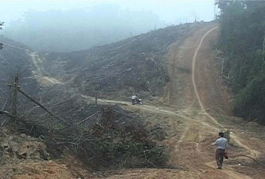 Trưởng phòng quản lý bảo vệ rừng bị hành hung tại nơi làm việc