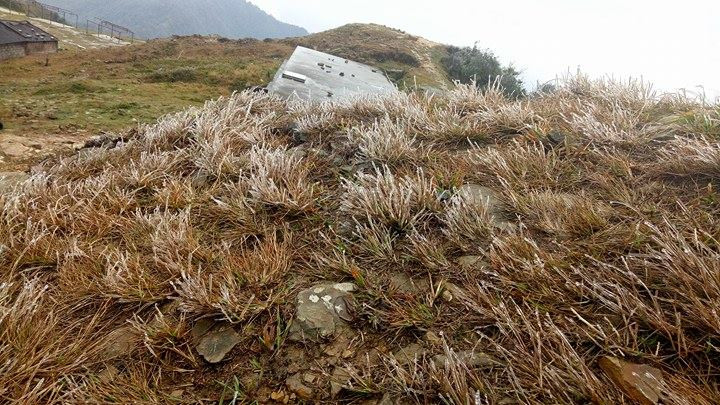 Băng tuyết bắt đầu kết thành chùm, hạt li ti trên cây cỏ. Ảnh: Hoàng Lăng Huy