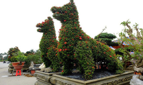 Mẫu đơn hình chó được định giá tới 250 triệu đồng.