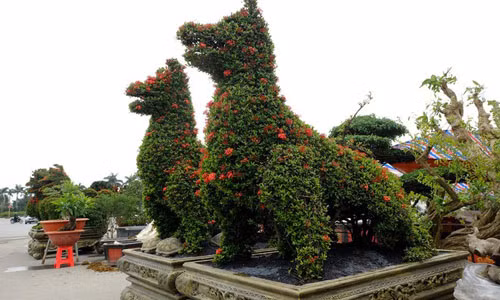 Mẫu đơn hình chó được định giá tới 250 triệu đồng.