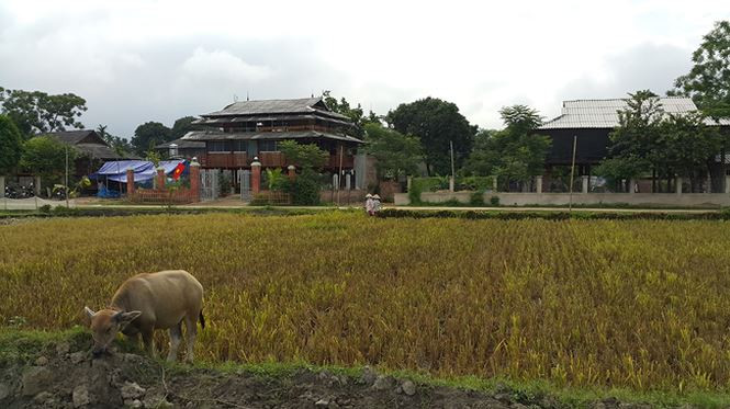 Bản Chao Hạ - điểm đến của một làng du lịch văn hóa Thái ở Mường Lò