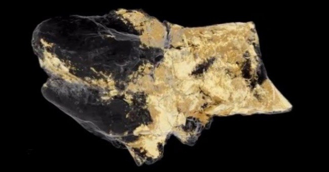 6 phát hiện cho thấy thế giới còn vô vàn bí ẩn thách thức giới khoa học