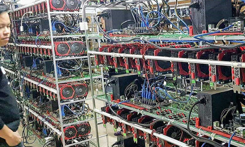 Kinh doanh 'chuồng trâu' đào tiền ảo ở Sài Gòn