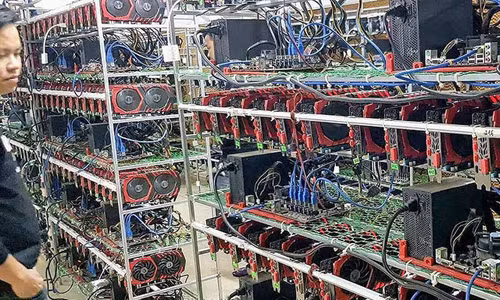 Kinh doanh 'chuồng trâu' đào tiền ảo ở Sài Gòn