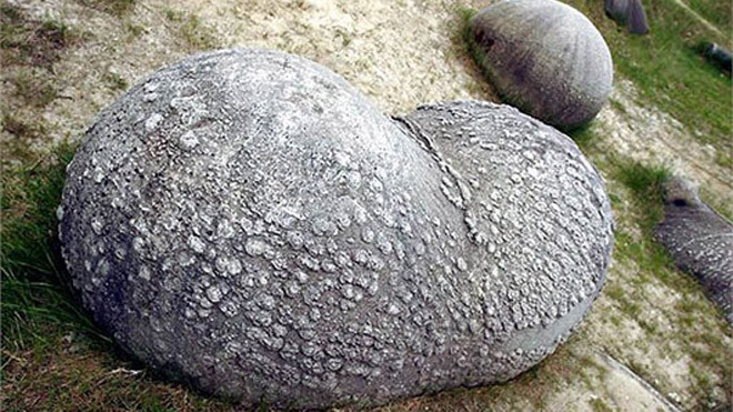 Kinh ngạc loại đá kỳ lạ tự phình to sau mỗi trận mưa