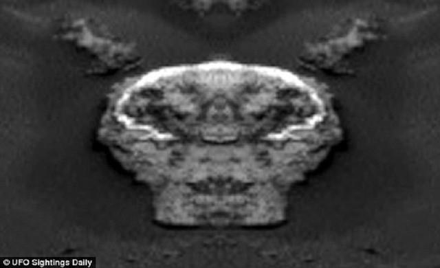 Scott C Waring mô tả chiếc hộp sọ có đôi mắt lớn, mũi nhỏ và miệng với những chiếc răng nhìn thấy rõ ràng.