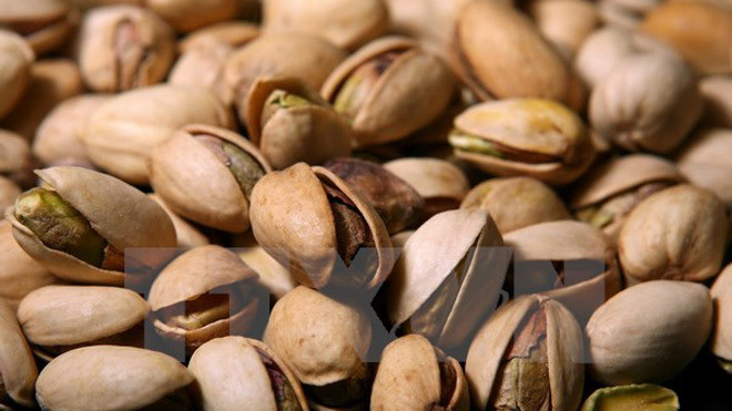 Ảnh minh họa. (Nguồn: AFP/TTXVN)