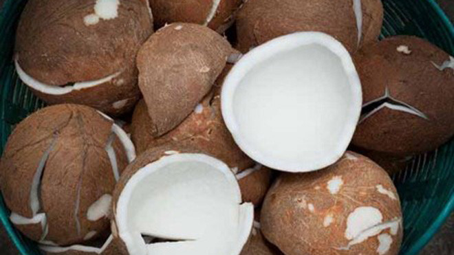Bí quyết chống ung thư, ngừa vô sinh bằng dừa khô