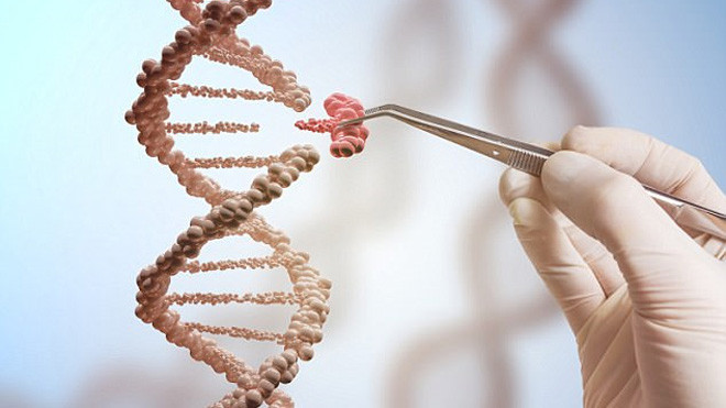 Kết quả nghiên cứu mới đã mang đến niềm hi vọng chữa khỏi căn bệnh thế kỷ. Ảnh: Shutterstock/vchal.