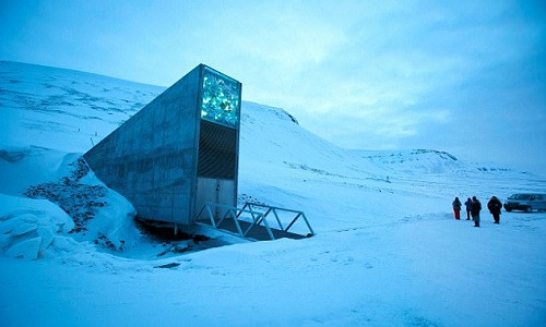Hầm hạt giống Global Seed Vault. Ảnh: AFP.