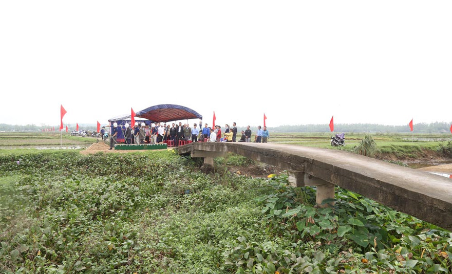 Tiger Beer hỗ trợ người dân miền Trung tái thiết cuộc sống