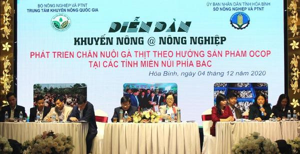 Chăn nuôi gà thịt theo hướng sản phẩm OCOP ở các tỉnh miền núi phía Bắc