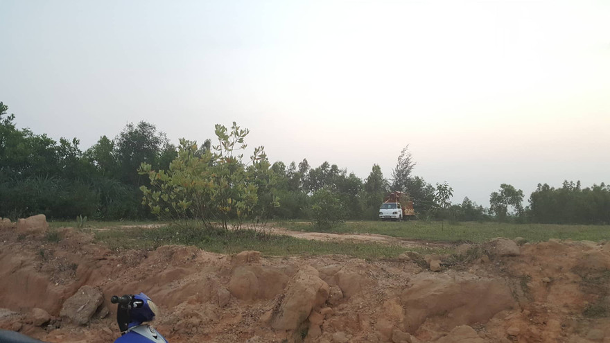 Khu vực rừng tràm nơi người dân phát hiện thi thể.