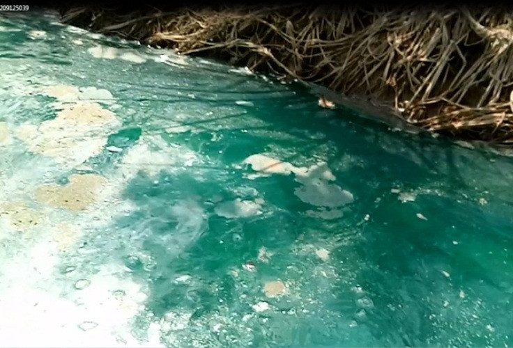 Sở TNMT Bình Dương vào cuộc vụ mương nước chuyển màu xanh, bốc mùi lạ